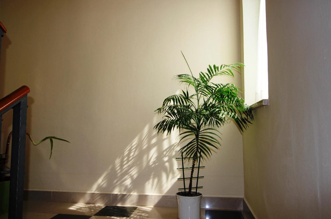 Maria Mare Apartment Rovinj Exterior photo